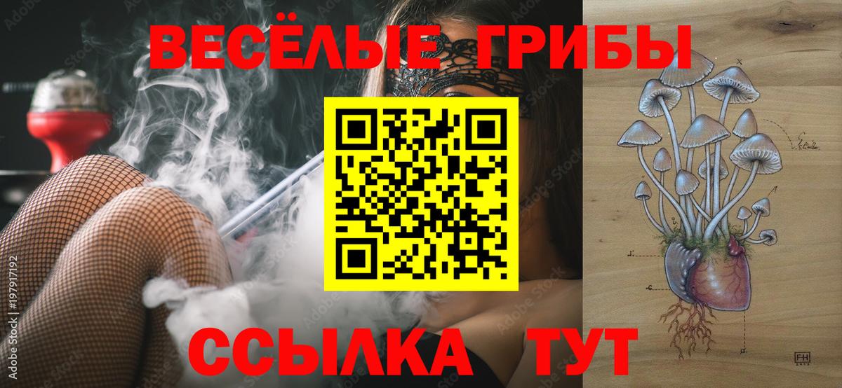 Псилоцибиновые грибы Psilocybine cubensis Подольск