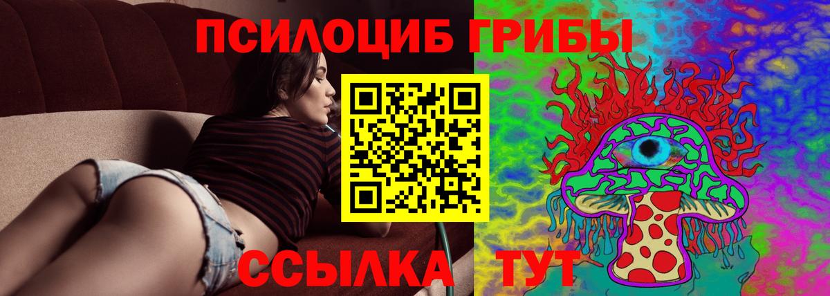 Подольск  магазин продажи   Вход с VPN  Псилоцибиновые грибы Cubensis 